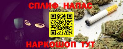 прущие грибы Кингисепп