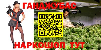 стаф Кимры