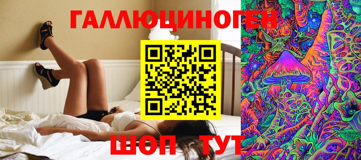 Галлюциногенные грибы Psilocybine cubensis Кувандык