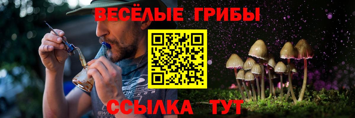 Псилоцибиновые грибы ЛСД  Галлюциногенные грибы прущие грибы  Вход с VPN  купить  сайты  Кувандык 